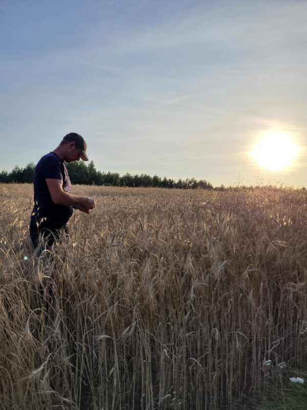 Sławek Miszke w polu płaskurki