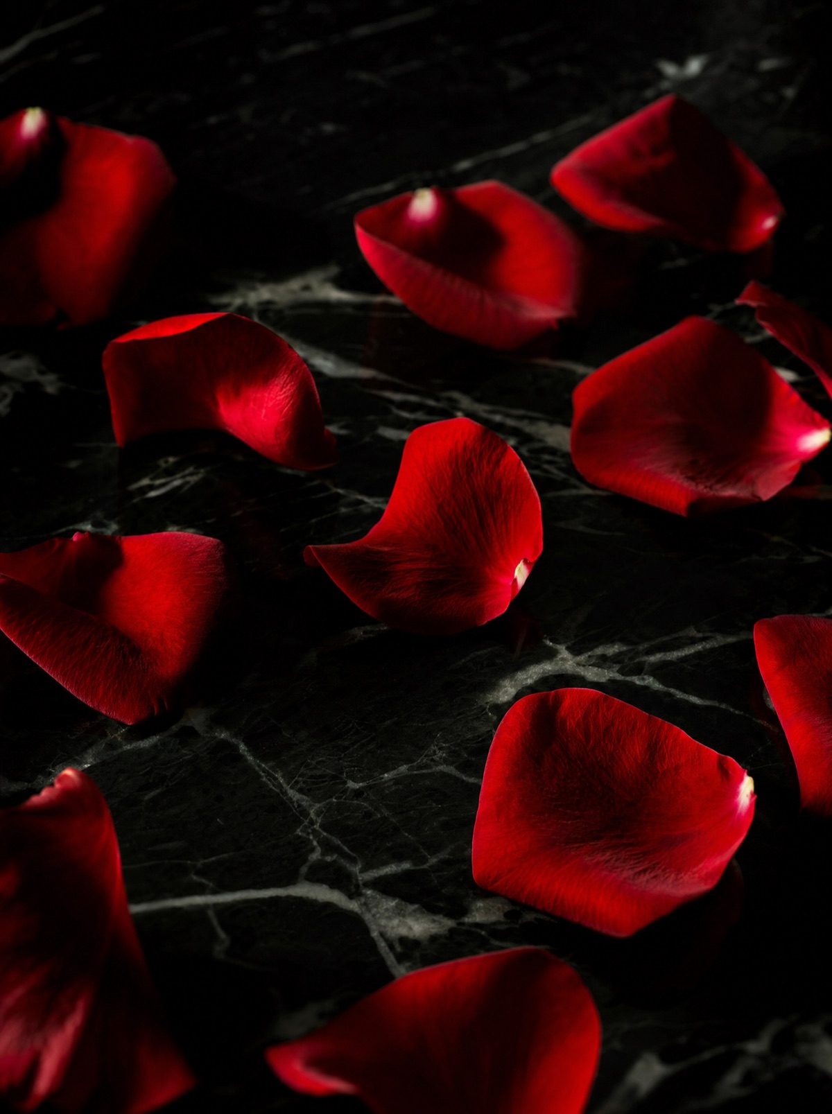 Red rose petals on black marble in low side light